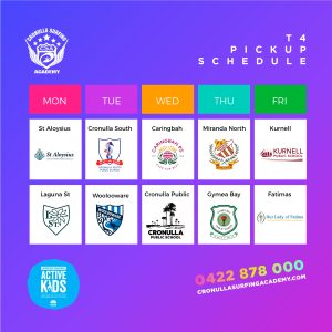 Term 4 Surfing Programs